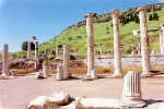 Ephesus State Agora, Ephesus Tours Pictures